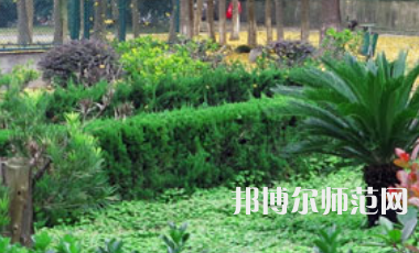 信陽(yáng)師范學(xué)院2023年有哪些專業(yè)