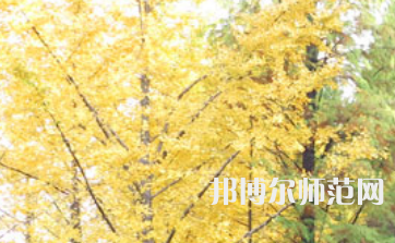 信陽(yáng)師范學(xué)院2023年怎么樣、好不好