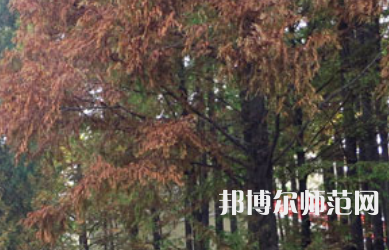 信陽(yáng)師范學(xué)院2023年怎么樣、好不好