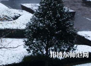 焦作師范高等?？茖W校2023年報名條件、招生要求、招生對象