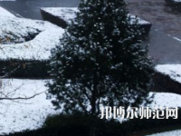 焦作師范高等?？茖W校2023年報名條件、招生要求、招生對象