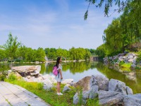山東財經(jīng)師范大學(xué)圣井校區(qū)2023年招生代碼