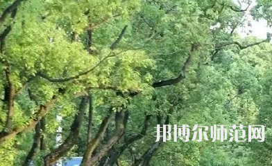 湖南理工師范學(xué)院南湖學(xué)院2023年報(bào)名條件、招生要求、招生對(duì)象