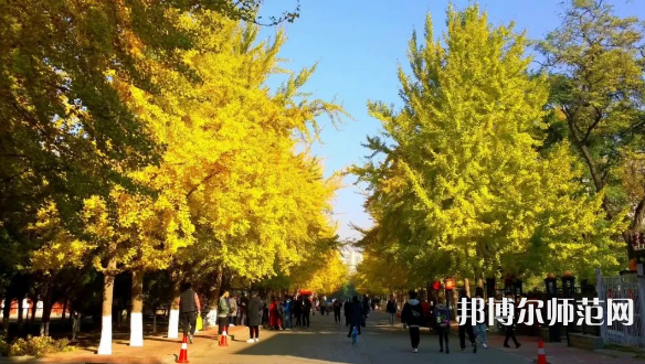 遼寧大學師范學院崇山校區(qū)2023年報名條件、招生要求、招生對象