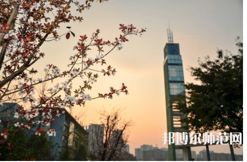 重慶文理師范學(xué)院星湖校區(qū)2023年學(xué)費、收費多少
