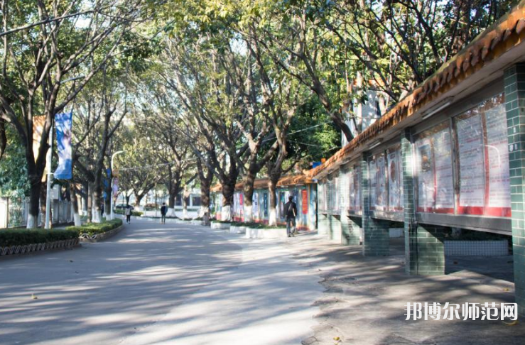 東莞理工師范學(xué)院松山湖校區(qū)2023年怎么樣、好不好