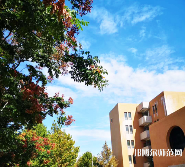 東營(yíng)職業(yè)師范學(xué)院2023年為幾專