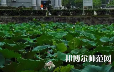 南華師范大學(xué)紅湘校區(qū)2023年報(bào)名條件、招生要求、招生對(duì)象