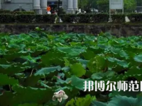 南華師范大學(xué)紅湘校區(qū)2023年報(bào)名條件、招生要求、招生對(duì)象