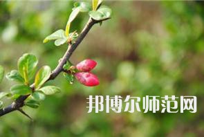 西安幼兒師范職業(yè)學(xué)校2023年學(xué)費(fèi)、收費(fèi)多少