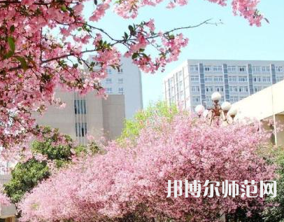 中國礦業(yè)師范大學(xué)徐海學(xué)院2023年報名條件、招生要求、招生對象
