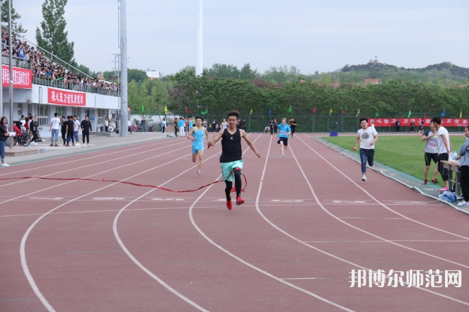 河北對外經(jīng)貿(mào)師范職業(yè)學院2023年有哪些專業(yè)