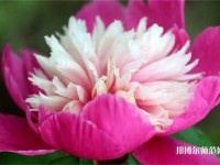 海南師范大學(xué)2023年報名條件、招生要求、招生對象