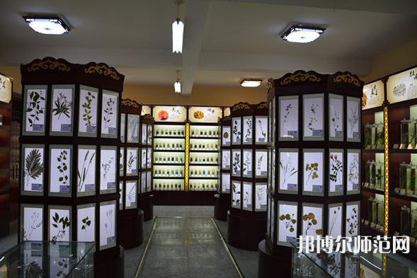 銅川職業(yè)技術(shù)師范學(xué)院2023年學(xué)費(fèi)、收費(fèi)多少