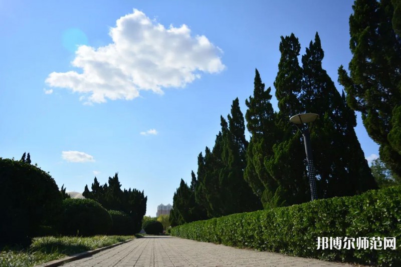 山東石油化工師范學(xué)院2023年報名條件、招生要求、招生對象 