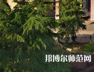 湖南第一師范學(xué)院城南書(shū)院校區(qū)歷年招生錄取分?jǐn)?shù)線(xiàn)