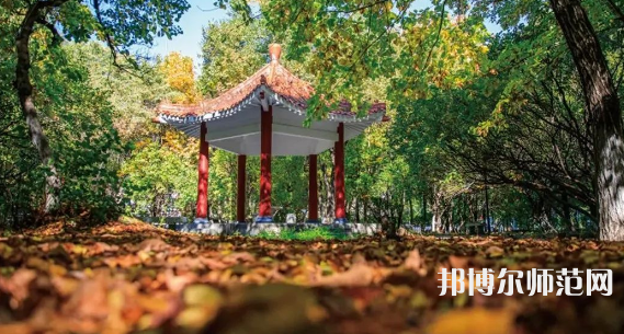 黑龍江師范大學(xué)2023年報(bào)名條件、招生要求、招生對象 
