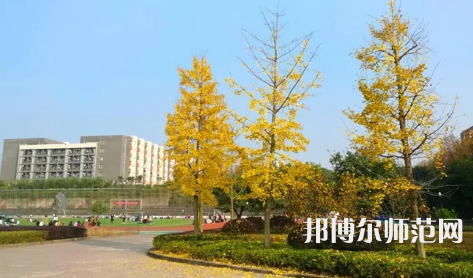 重慶幼兒師范高等?？茖W(xué)校梨園校區(qū)2023年是幾本