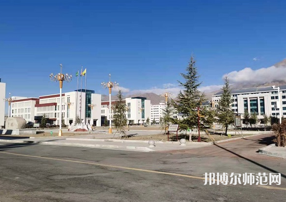 拉薩師范高等?？茖W(xué)校2023年招生計劃