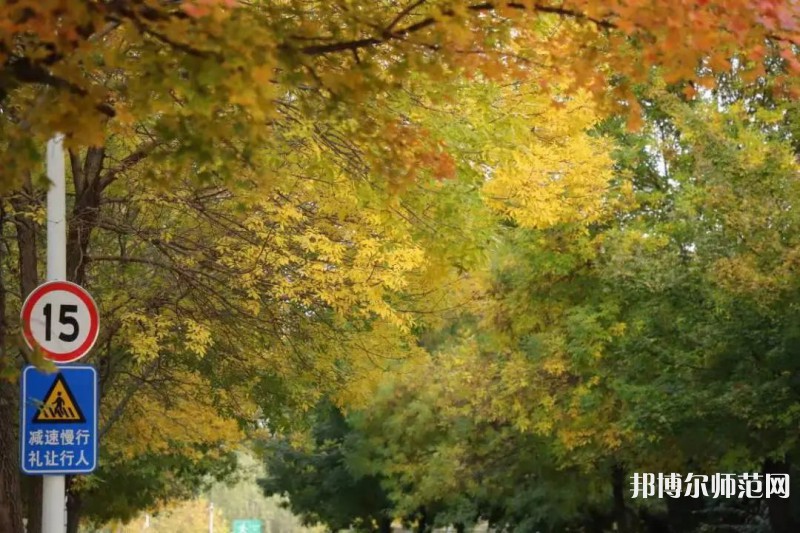 濟南幼兒師范高等?？茖W校2023年有哪些專業(yè)