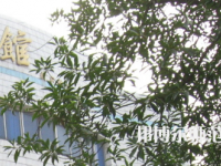 湖南師范大學(xué)樹達學(xué)院2023年怎么樣、好不好