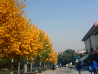 西北師范大學(xué)2023年怎么樣、好不好