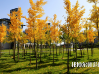 瀘州啟明幼師職業(yè)技術(shù)學(xué)校2023年學(xué)費、收費多少