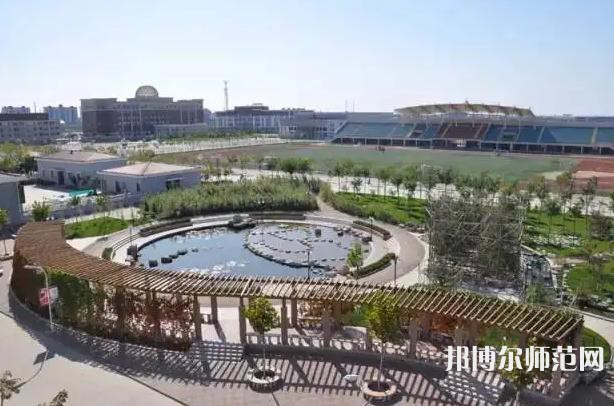天津外國(guó)語(yǔ)師范大學(xué)濱海校區(qū)2023年有哪些專業(yè)
