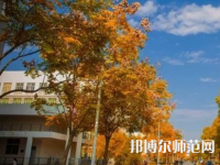 南京師范大學泰州學院2023年報名條件、招生要求、招生對象