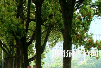 衡陽(yáng)師范學(xué)院南岳學(xué)院2023年怎么樣、好不好