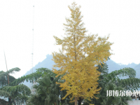 邛崍幼師職業(yè)教育中心2023年招生辦聯(lián)系電話(huà)