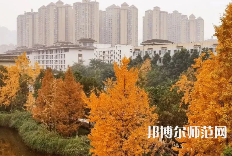 雅安職業(yè)技術(shù)師范學(xué)院2023年怎么樣、好不好