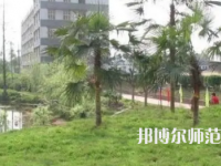 2023年瀘州天宇幼師中等職業(yè)技術(shù)學(xué)校報名條件、招生對象