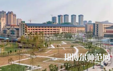 2023年內(nèi)江師范學(xué)院會計與統(tǒng)計核算專業(yè)介紹