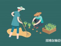 長(zhǎng)江大學(xué)師范學(xué)院荊州校區(qū)介紹、地址