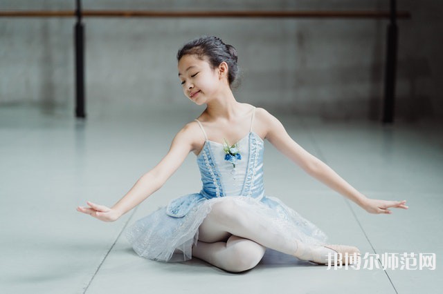 南充電子工業(yè)幼兒師范學(xué)校介紹、地址